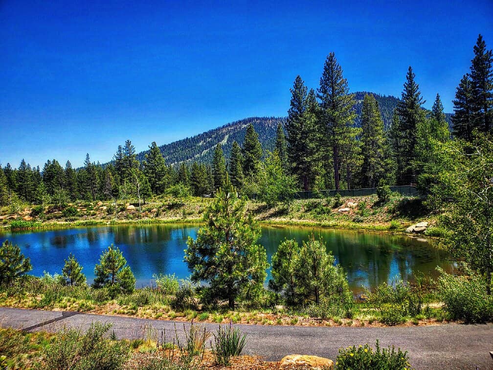Art Truckee Gallery