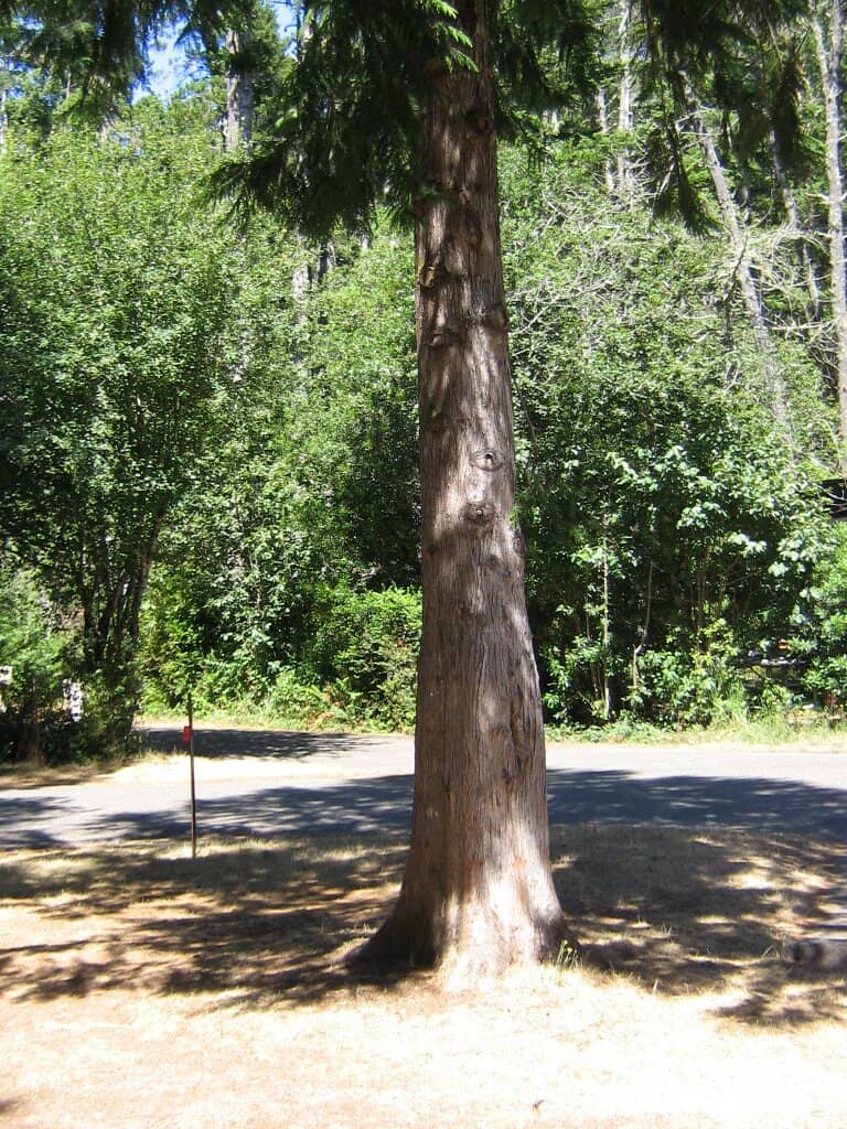 Vertical photo