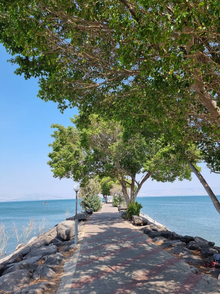 Museum with Galilee Views