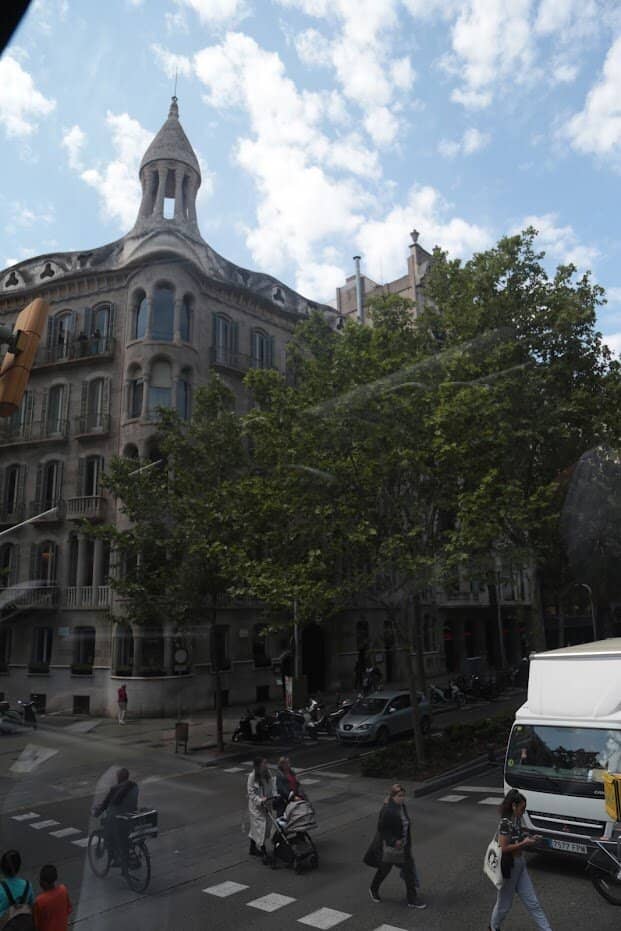 Anatomical Design Influences