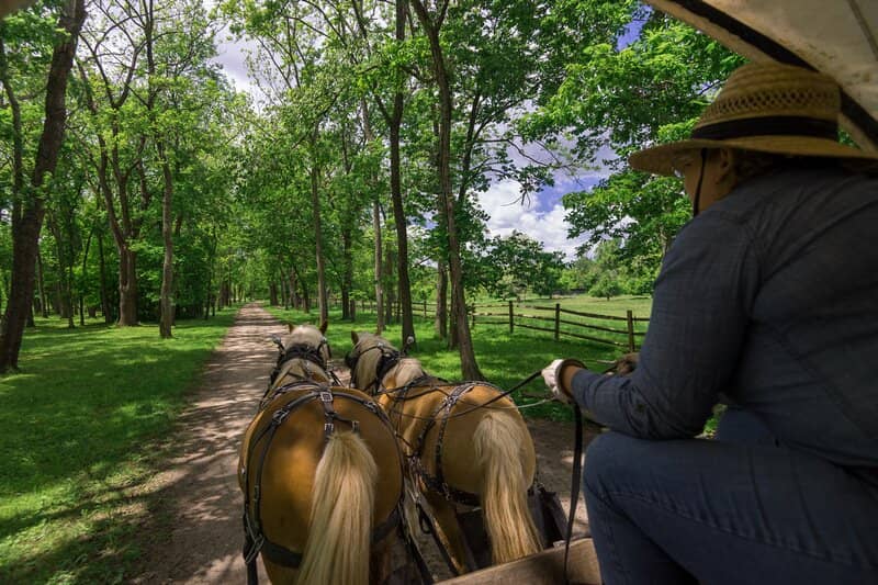 Sternwheeler Riverboat Ride