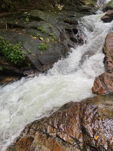 Natural Swimming Pools