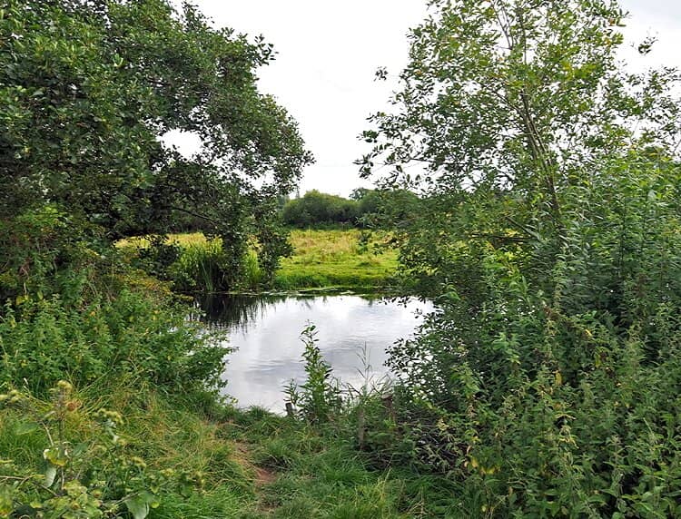 Circular Walks