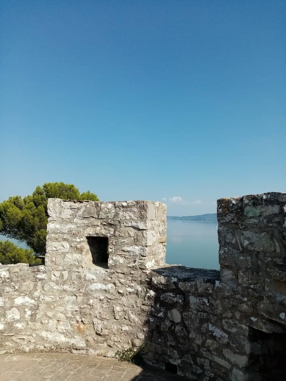 Vertical photo