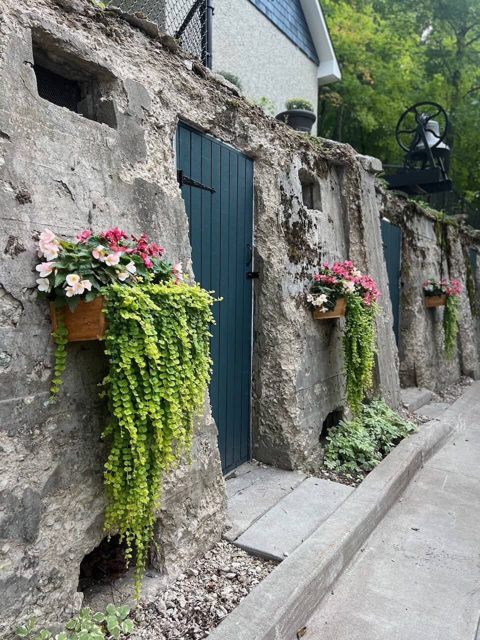 Seasonal Christmas Tours