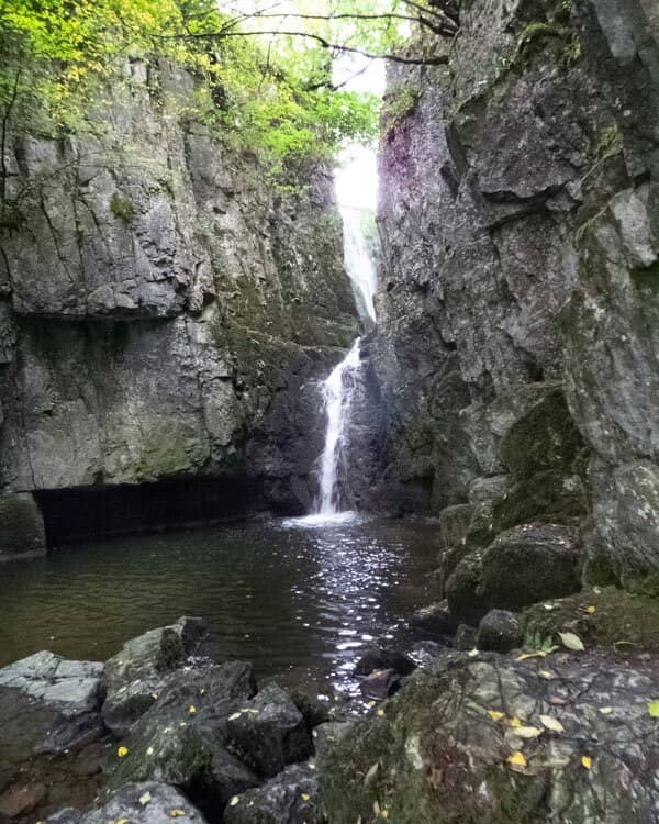 Woodland Gorge Walk