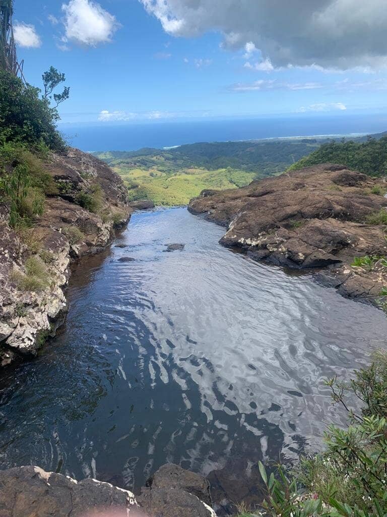 Top-Down Perspective