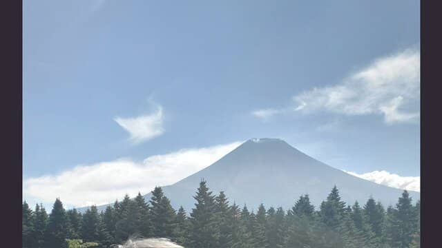 Vertical photo