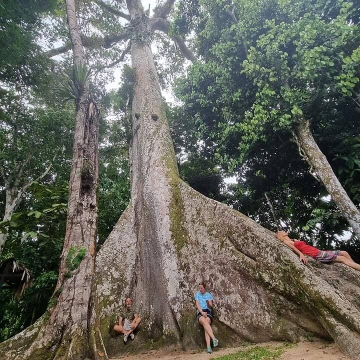 Sunrise and Sunset Spectacles