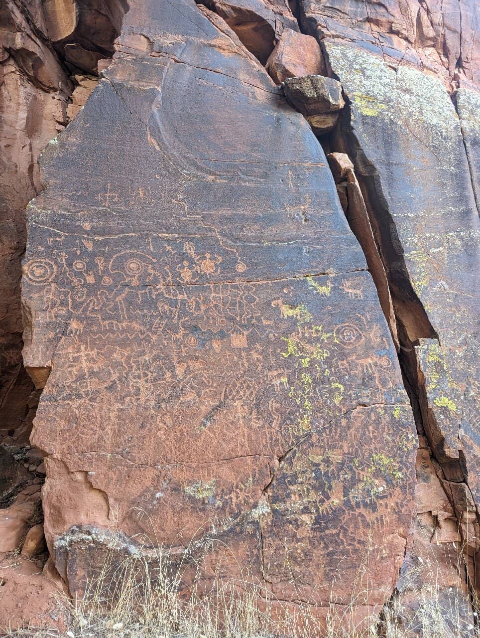 The Short Interpretive Trail