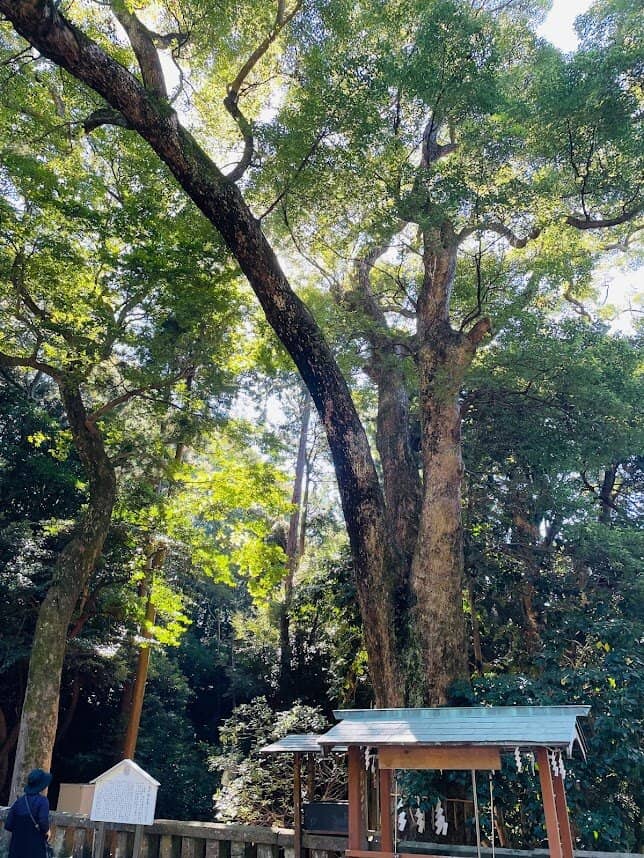Kunozan Toshogu Museum