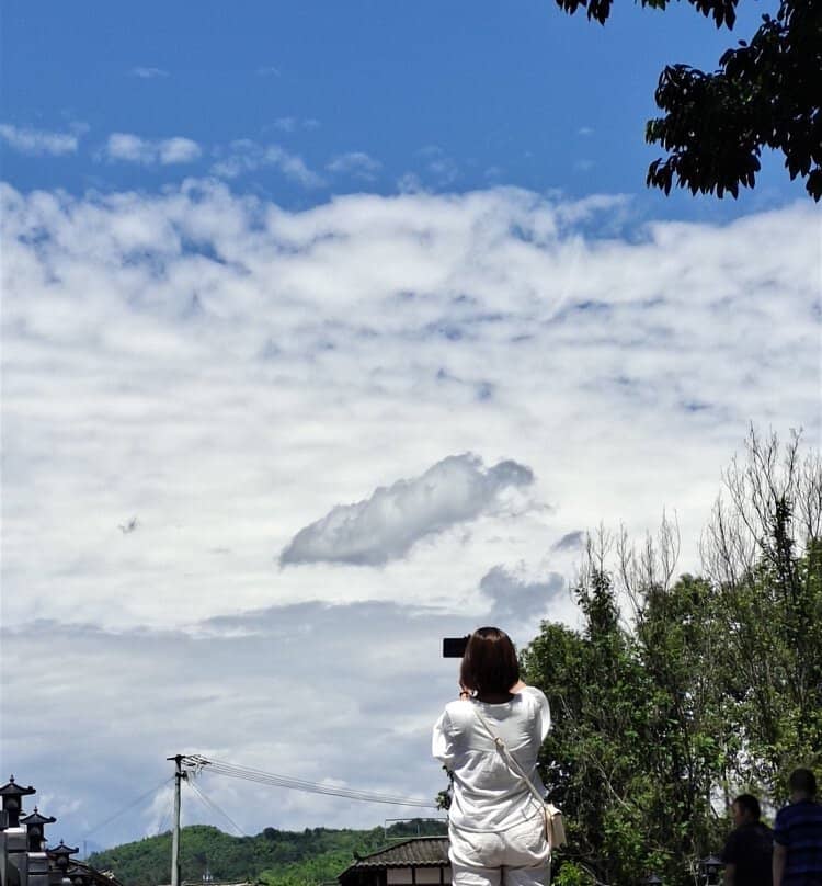 Vertical photo