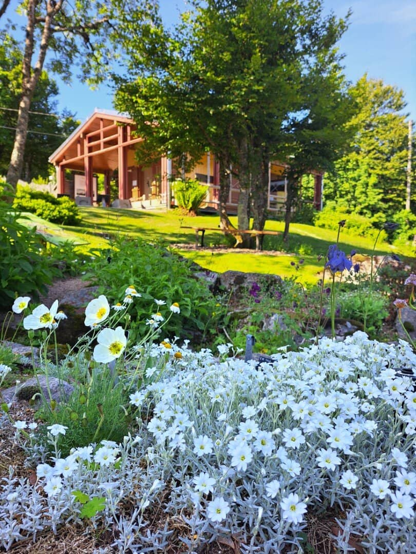 Vosges Regional Flora