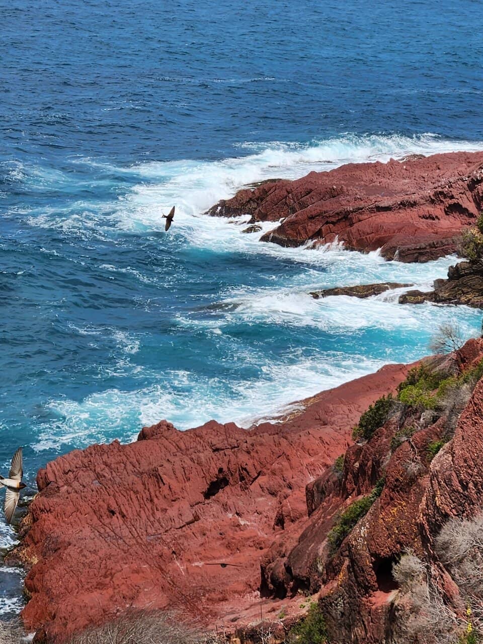 Whale Watching Opportunities