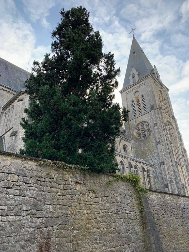 Maredret Abbey Beer
