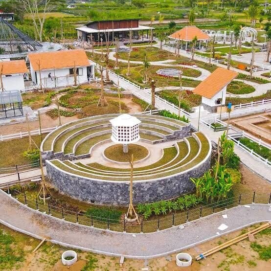 Night Healing & Live Music