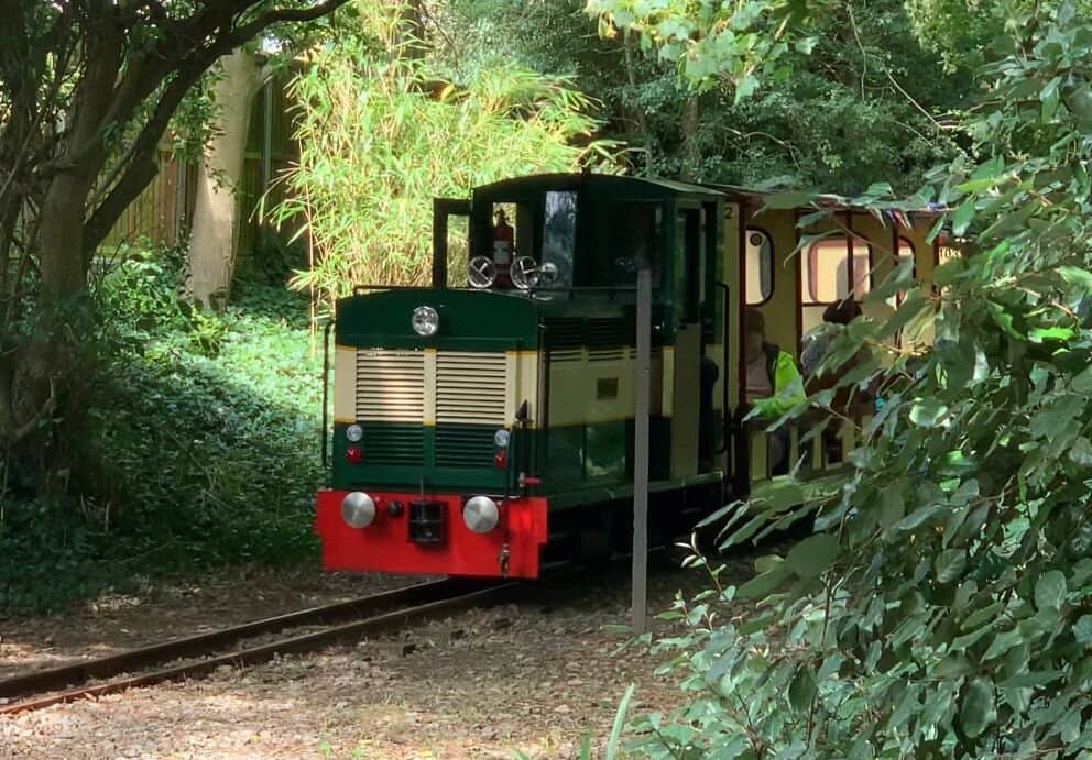 Mewsbrook Park Charm
