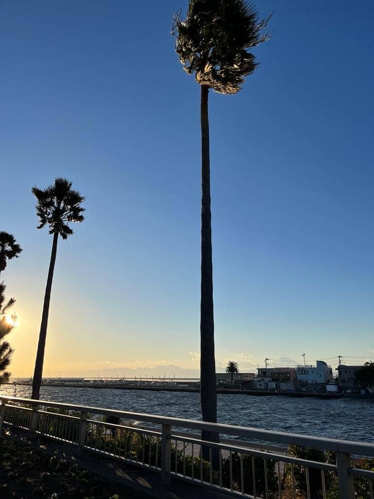 Sunset Spectacle
