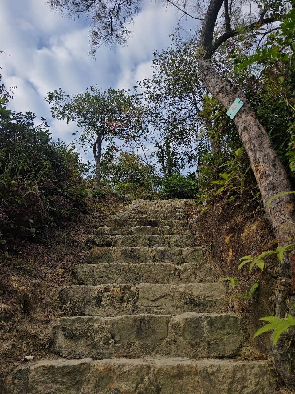 Coloane Trail's Panoramic Views
