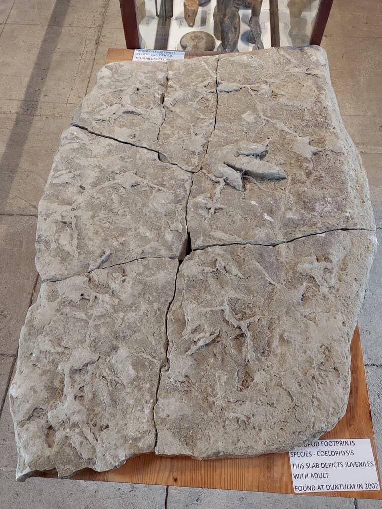 Local History and Archaeology