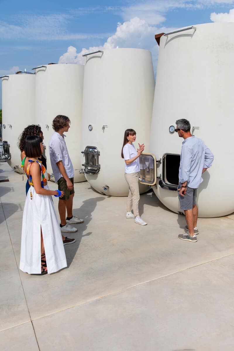 Prosecco Tasting Experience