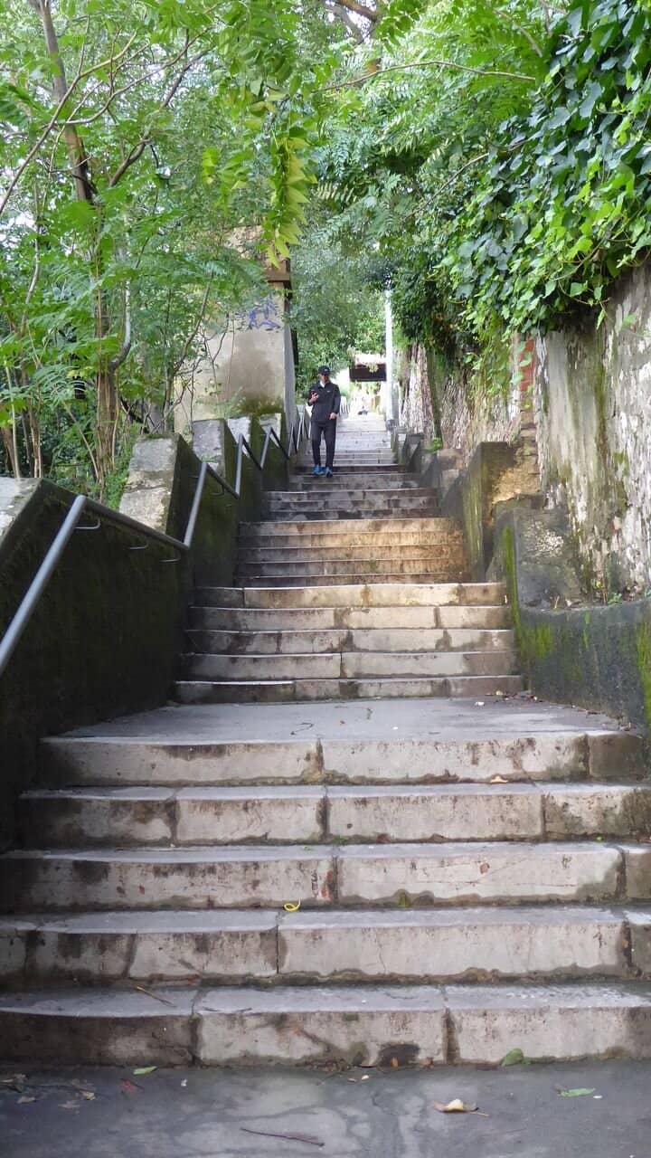 Vertical photo