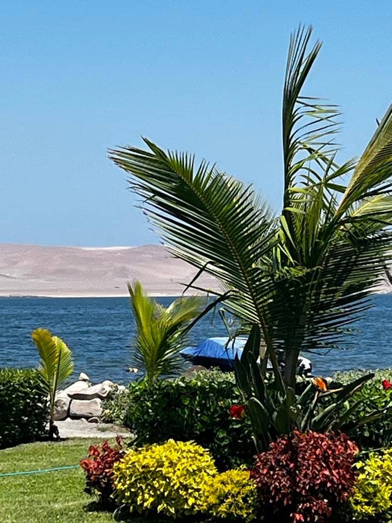 El Chaco Boardwalk