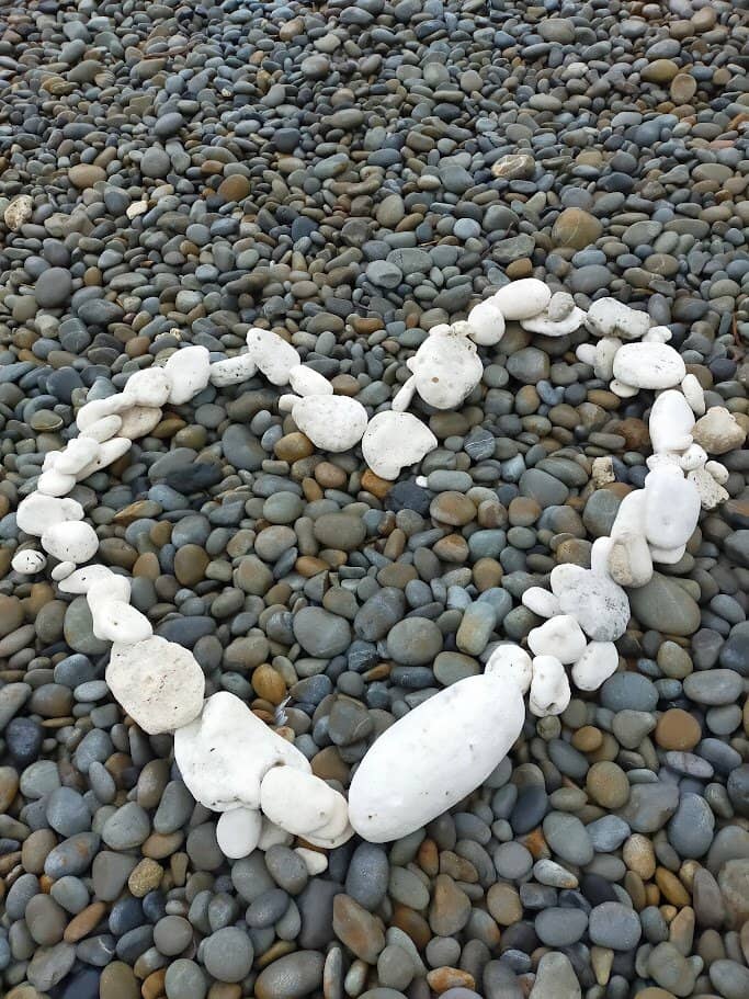 Low Tide Cave Exploration