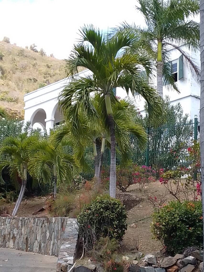 Beautiful Photo Opportunities