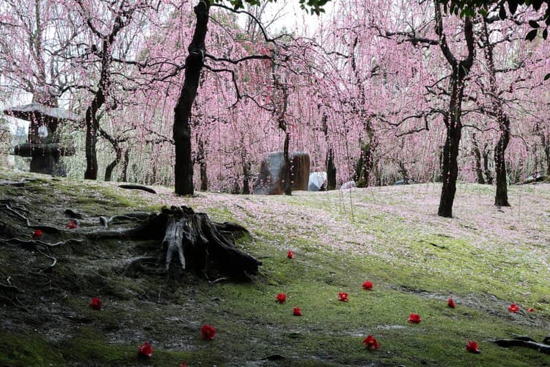 Traditional Shrine Architecture