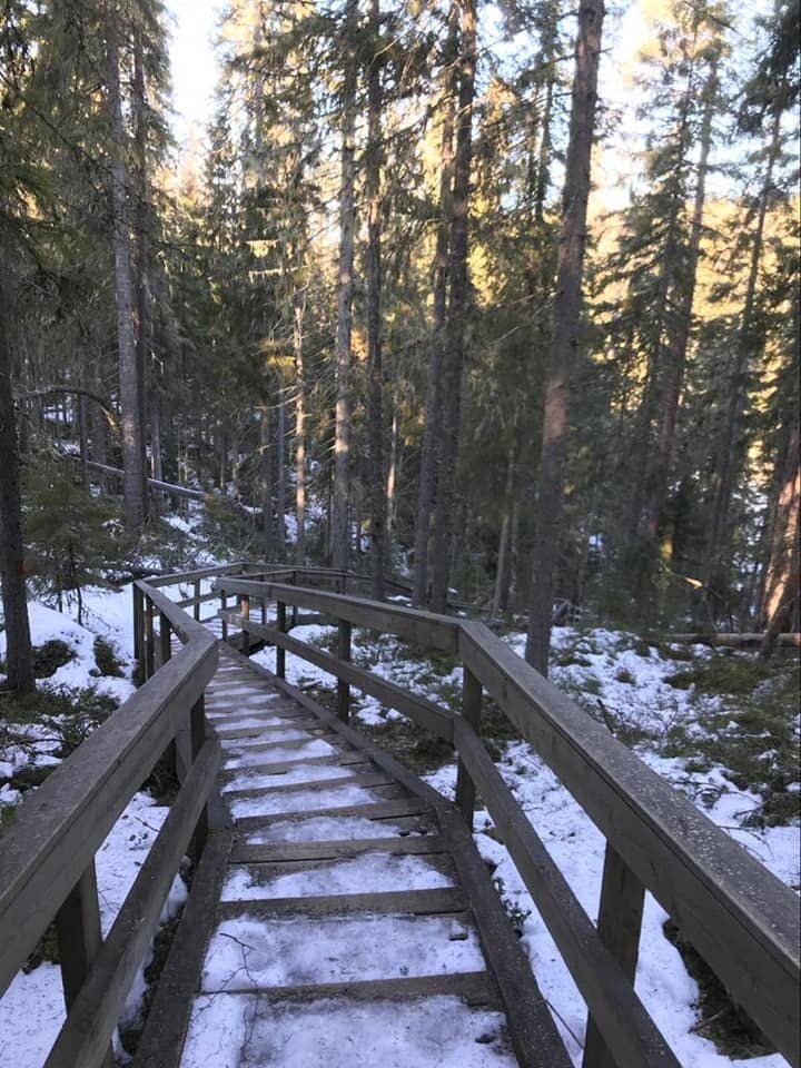 Helvetinkolu Gorge