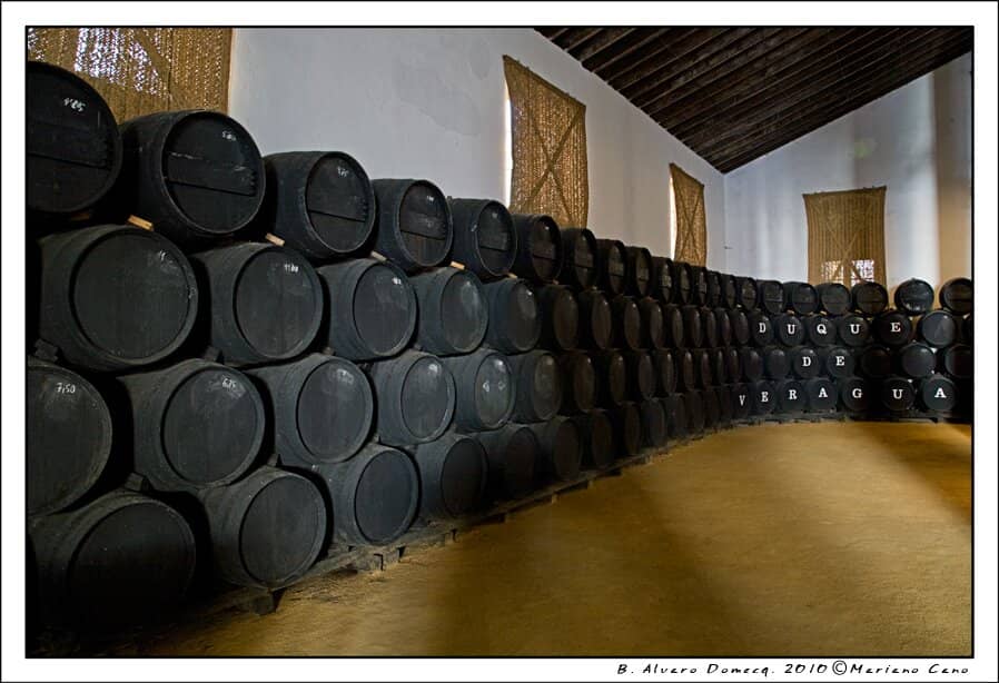 Historic Bodega Architecture