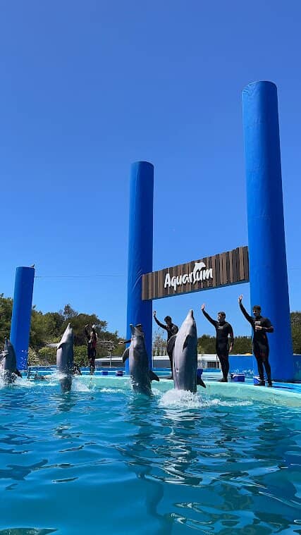 Aquasol Water Park Attractions