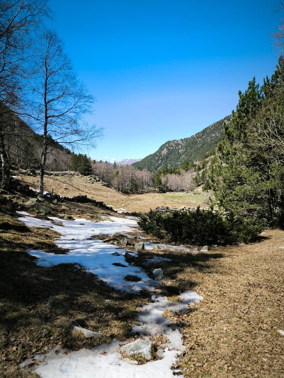 Estany de la Nou