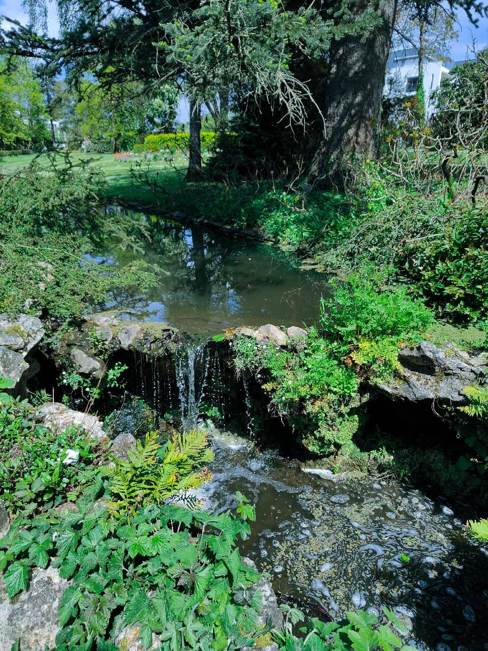 Family-Friendly Playground