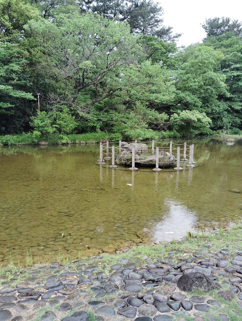 Serene Ponds