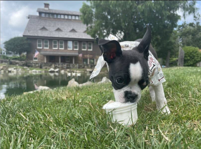 The Historic Grist Mill