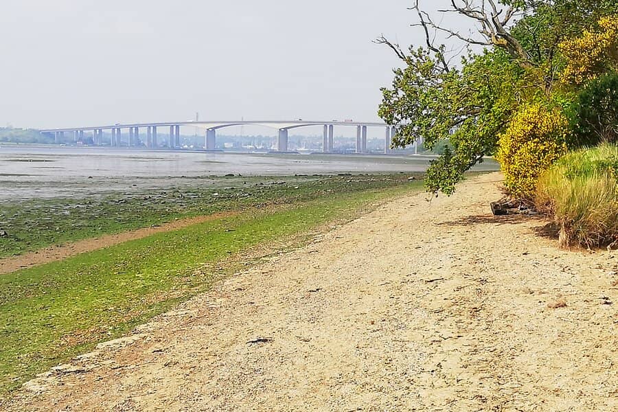 Shoreline Walks