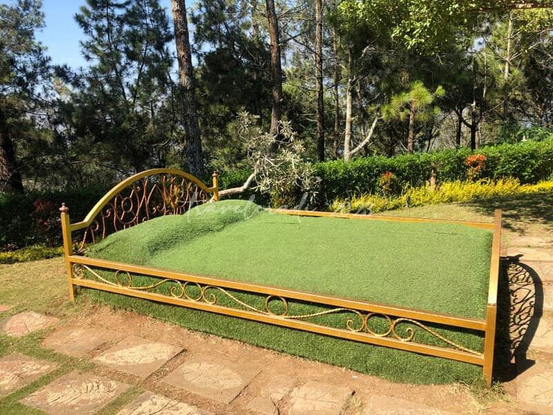 Paragliding Adventure