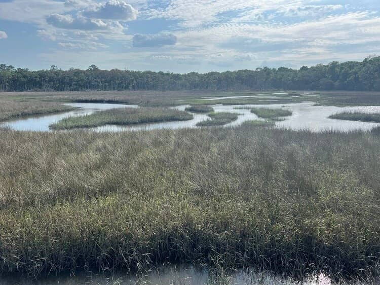 Spanish Pond Loop