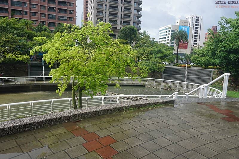 Dragon Boat Festival