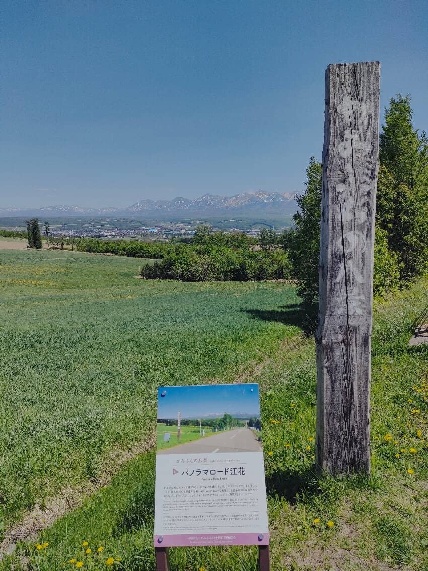 Vertical photo