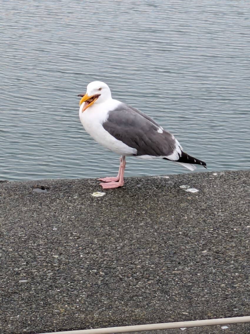 Battery Point Lighthouse