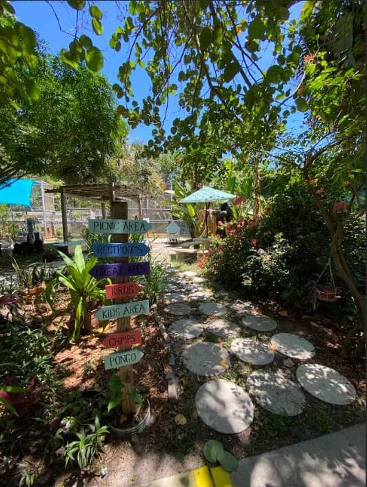 Pongo's Birthday Celebration