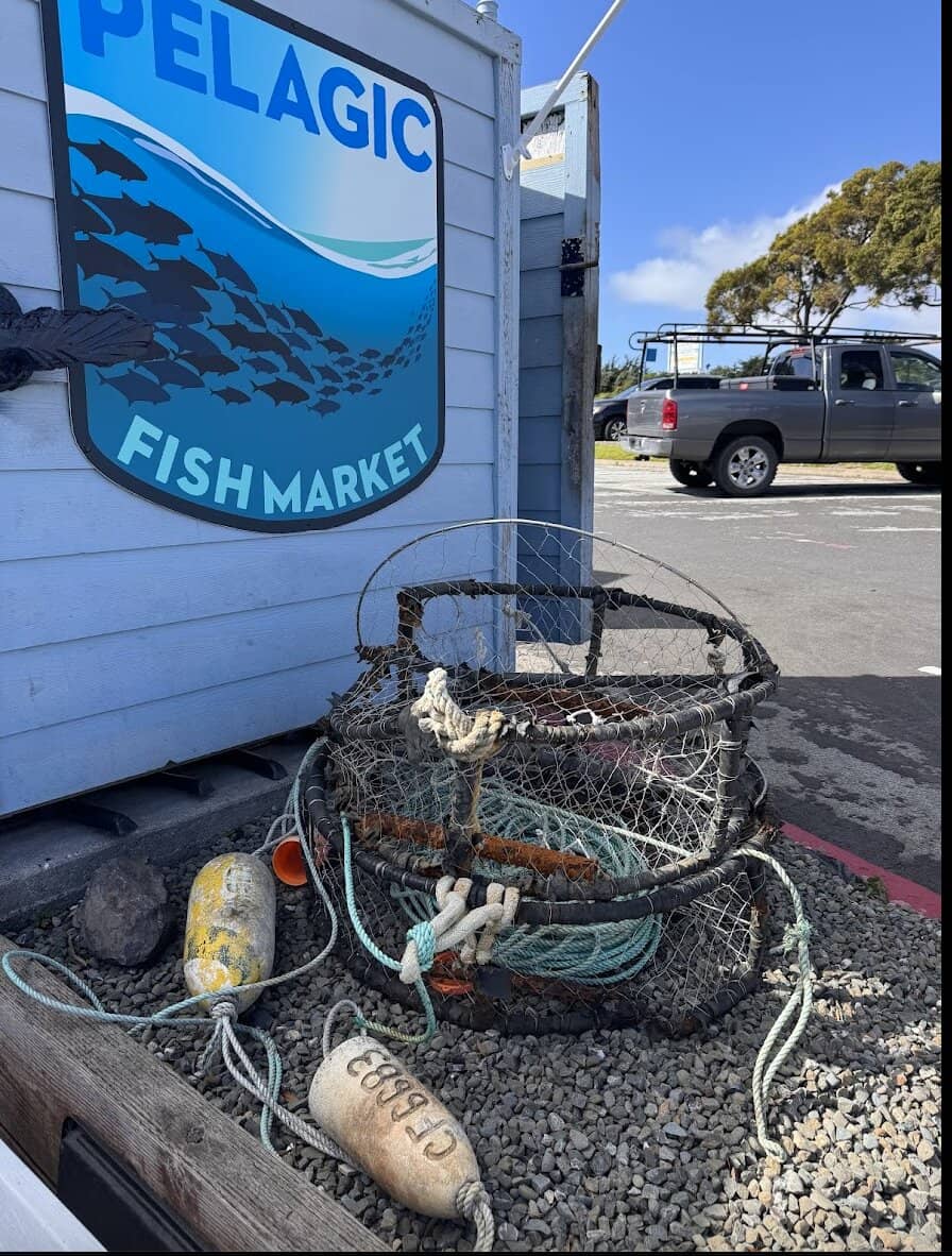 Crabbing and Fishing