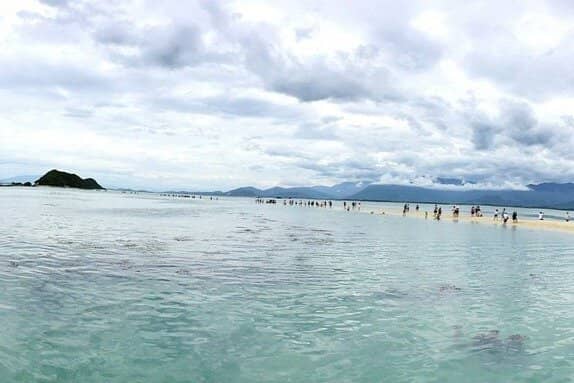 Fresh Seafood Delights