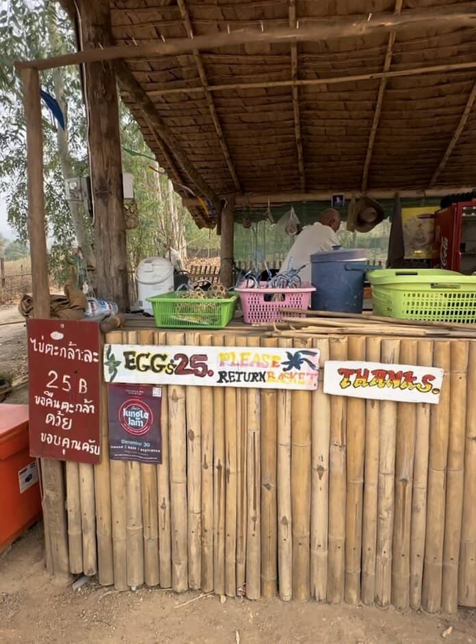 Peaceful Natural Setting