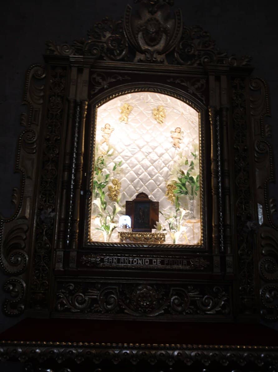 Guided Tours