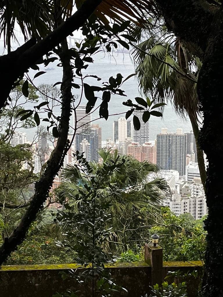 Vertical photo