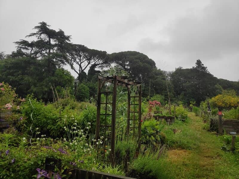 Unique Wooden Playgrounds